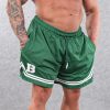 IB Mesh Shorts Green