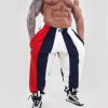Baggy Joggers IronStripes BWR