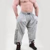 Ironbeasts Logo Baggy Jogger Gray Washed